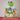 Ich bin Paketbote – Kuscheltier Frosch, Ansicht 06 #kuscheltier_frosch