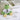 Ich bin Zwillingspapa – Kuscheltier Frosch, Ansicht 04 #kuscheltier_frosch