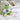 Ich bin Trainer – Kuscheltier Frosch, Ansicht 04 #kuscheltier_frosch