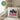 Papas Prinzessin – Kissen 40 × 40 cm mit Rückseite in Grün – Wohnbeispiel #farbe_gruen