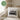 Lieblingspimmel – Kissen 40 × 40 cm mit Rückseite in Grün – Wohnbeispiel #farbe_gruen