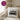 Lieblingspimmel – Kissen 40 × 40 cm mit Rückseite in Violett – Wohnbeispiel #farbe_violett