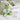 Glückwunsch, du wirst Oma – Kuscheltier Frosch, Ansicht 04 #kuscheltier_frosch