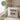 Glückwunsch du wirst Oma – Kissen 40 × 40 cm mit Rückseite in Grün – Wohnbeispiel #farbe_gruen