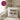 Glückwunsch du wirst Schwester – Kissen 40 × 40 cm mit Rückseite in Violett – Wohnbeispiel #farbe_violett