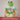 Glückwunsch, du wirst Bruder – Kuscheltier Frosch, Ansicht 06 #kuscheltier_frosch
