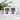 Bobr kurwa – Tasse in Rosa mit Geschenkkarton – Ansicht 02 #farbe_rosa