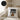 Bobr kurwa – Kissen 40 × 40 cm mit Rückseite in Schwarz – Wohnbeispiel #farbe_schwarz