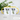 Tea-Rex – Tasse in Gelb mit Geschenkkarton – Ansicht 02 #farbe_gelb