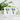 Tea-Rex – Tasse in Grün – Ansicht 02 #farbe_gruen