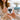 Nö! Katze – Tasse in Blau mit Geschenkkarton – Ansicht 05 #farbe_blau