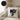 Nö! Katze – Kissen 40 × 40 cm mit Rückseite in Schwarz – Wohnbeispiel #farbe_schwarz