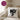 Nö! Katze – Kissen 40 × 40 cm mit Rückseite in Violett – Wohnbeispiel #farbe_violett