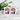 So viele Idioten und nur eine Sense – Tasse in Rosa mit Geschenkkarton – Ansicht 02 #farbe_rosa