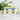 Bravocado – Tasse in Grün – Ansicht 02 #farbe_gruen
