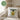 Bravocado – du hast es geschafft! – Kissen 40 × 40 cm mit Rückseite in Grün – Wohnbeispiel #farbe_gruen