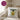 Bravocado – du hast es geschafft! – Kissen 40 × 40 cm mit Rückseite in Violett – Wohnbeispiel #farbe_violett