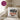 Das frühe Vögeln entspannt den Wurm – Kissen 40 × 40 cm mit Rückseite in Violett – Wohnbeispiel #farbe_violett