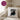 Das schwarze Schaf der Familie – Kissen 40 × 40 cm mit Rückseite in Violett – Wohnbeispiel #farbe_violett