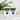 Kaffee, weil Koks ungesund ist – Tasse in Gelb – Ansicht 02 #farbe_gelb