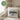 Endlich Schulkind – personalisiert – Kissen 40 × 40 cm mit Rückseite in Grün – Wohnbeispiel #farbe_gruen