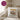 Papas Kuschelecke Koala – Kissen 40 × 40 cm mit Rückseite in Violett – Wohnbeispiel #farbe_violett