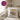 Opas Kuschelecke Koala – Kissen 40 × 40 cm mit Rückseite in Violett – Wohnbeispiel #farbe_violett