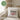 Weltbester Onkel – Kissen 40 × 40 cm mit Rückseite in Grün – Wohnbeispiel #farbe_gruen