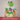 Personalisiertes Kuscheltier Frosch – Ansicht 06 #kuscheltier_frosch