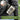 Lieber 1000 Sterne am Himmel als 5 Sterne im Hotel – Karabinerbecher 330 ml – Silber/Silber – Ohne Deckel – Ansicht 4 #farbe_silber-silber